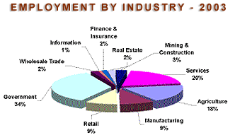 Employment by Industry Sector