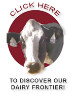 Kings County Dairy Frontier!