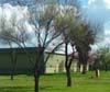 711 W. Cinnamon Drive