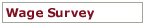 Wage Survey